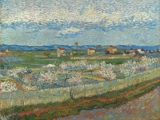 Peach Blossoms in the Crau by Vincent van Gogh